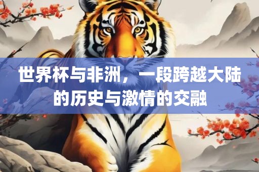 世界杯与非洲，一段跨越大陆的历史与激情的交融
