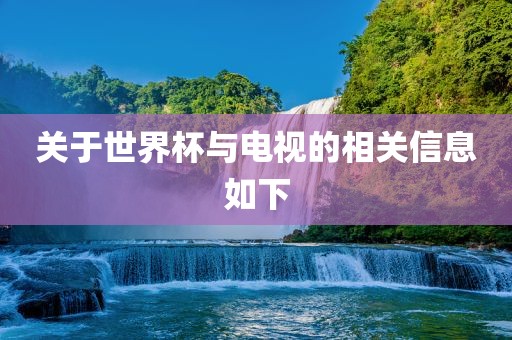 关于世界杯与电视的相关信息如下