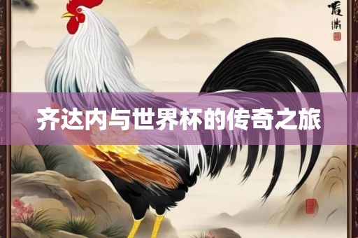 齐达内与世界杯的传奇之旅