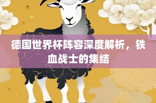 德国世界杯阵容深度解析，铁血战士的集结