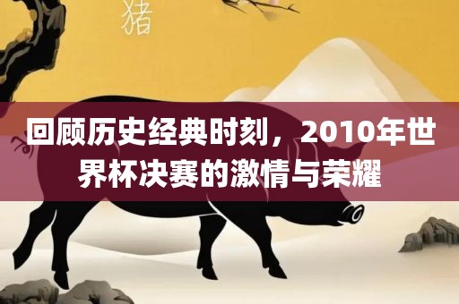 回顾历史经典时刻，2010年世界杯决赛的激情与荣耀