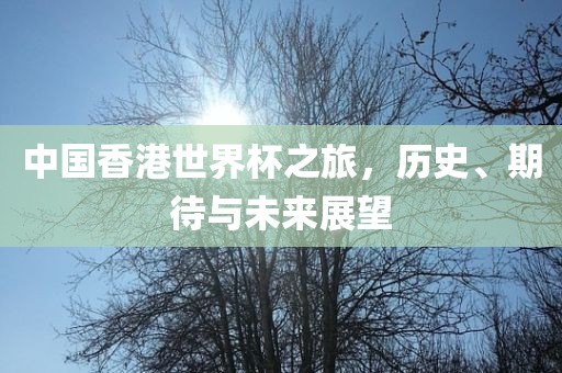 中国香港世界杯之旅，历史、期待与未来展望