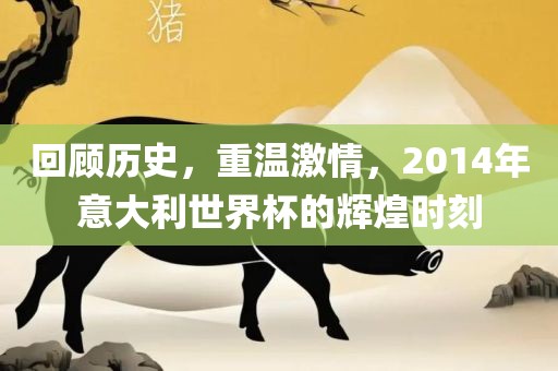 回顾历史，重温激情，2014年意大利世界杯的辉煌时刻