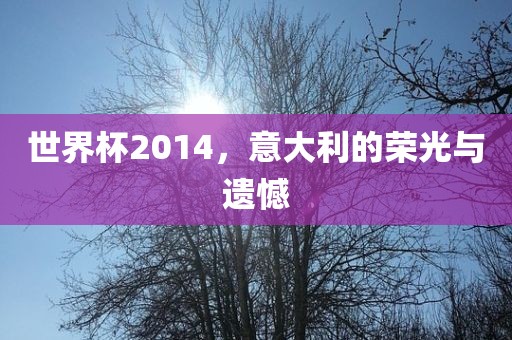 世界杯2014，意大利的荣光与遗憾