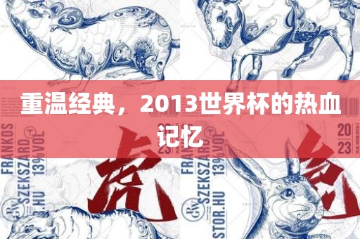 重温经典，2013世界杯的热血记忆