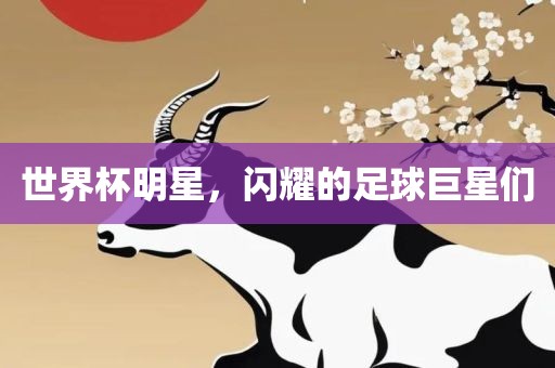 世界杯明星，闪耀的足球巨星们