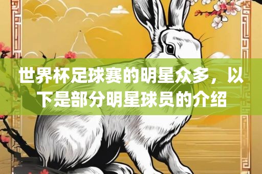 世界杯足球赛的明星众多，以下是部分明星球员的介绍