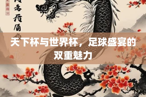 天下杯与世界杯，足球盛宴的双重魅力