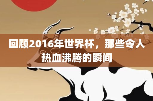 回顾2016年世界杯，那些令人热血沸腾的瞬间