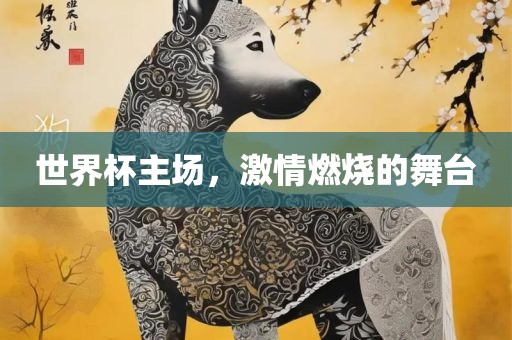 世界杯主场，激情燃烧的舞台