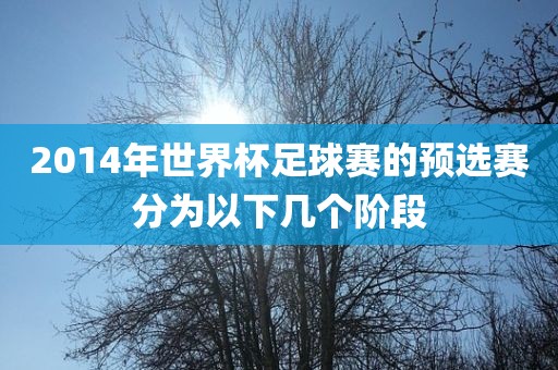 2014年世界杯足球赛的预选赛分为以下几个阶段