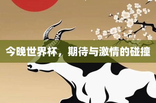 今晚世界杯，期待与激情的碰撞