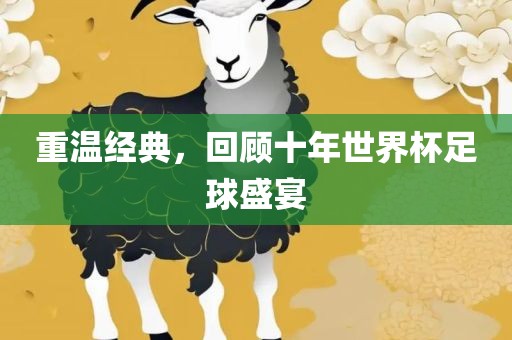 重温经典，回顾十年世界杯足球盛宴