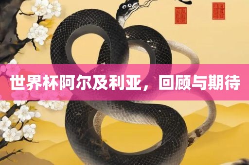 世界杯阿尔及利亚，回顾与期待