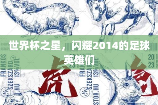 世界杯之星，闪耀2014的足球英雄们