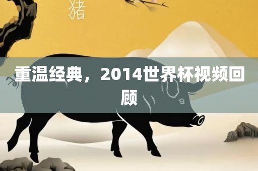 重温经典，2014世界杯视频回顾