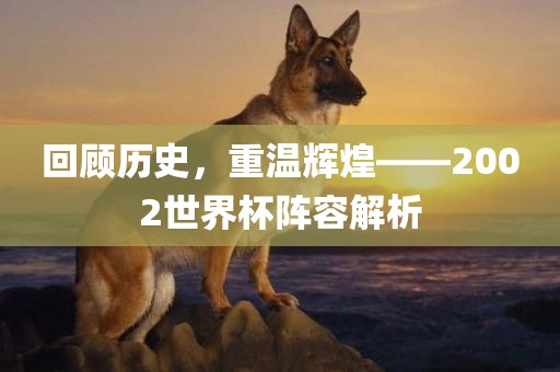 回顾历史，重温辉煌——2002世界杯阵容解析
