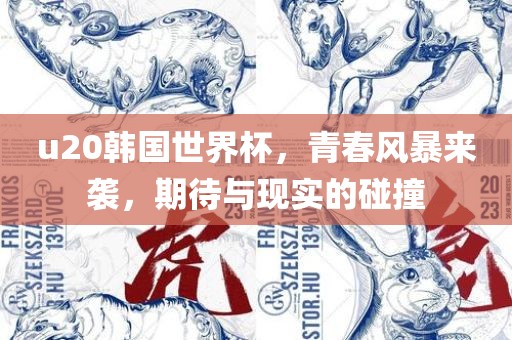 u20韩国世界杯，青春风暴来袭，期待与现实的碰撞