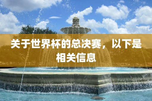 关于世界杯的总决赛，以下是相关信息
