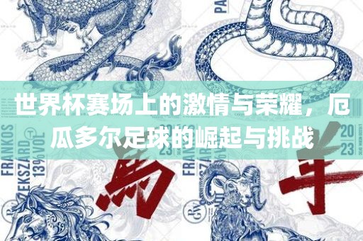 世界杯赛场上的激情与荣耀，厄瓜多尔足球的崛起与挑战