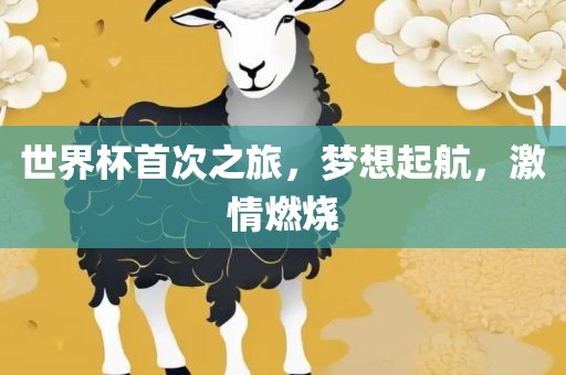 世界杯首次之旅，梦想起航，激情燃烧