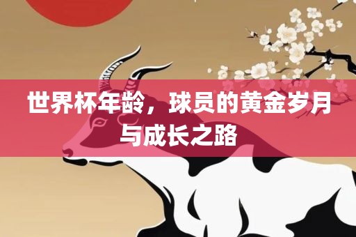 世界杯年龄，球员的黄金岁月与成长之路
