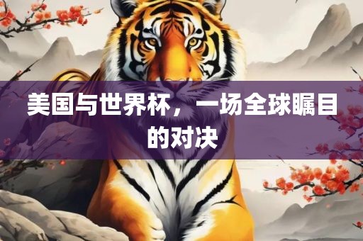 美国与世界杯，一场全球瞩目的对决