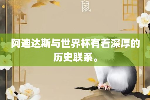 阿迪达斯与世界杯有着深厚的历史联系。