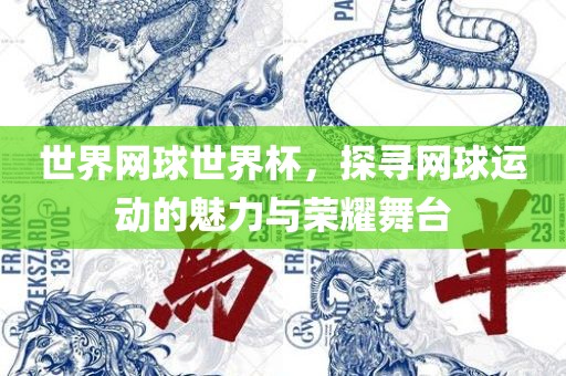 世界网球世界杯，探寻网球运动的魅力与荣耀舞台