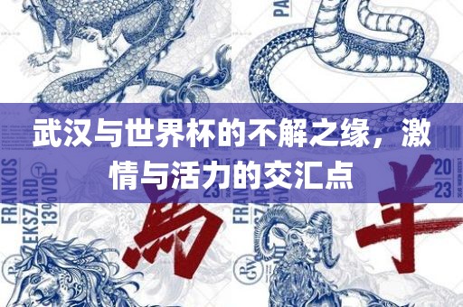 武汉与世界杯的不解之缘，激情与活力的交汇点