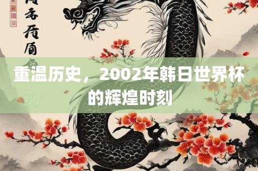 重温历史，2002年韩日世界杯的辉煌时刻
