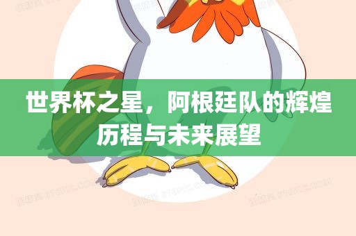 世界杯之星，阿根廷队的辉煌历程与未来展望