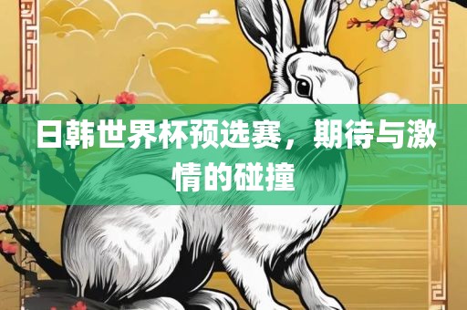日韩世界杯预选赛，期待与激情的碰撞