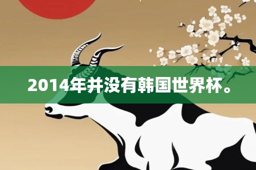 2014年并没有韩国世界杯。