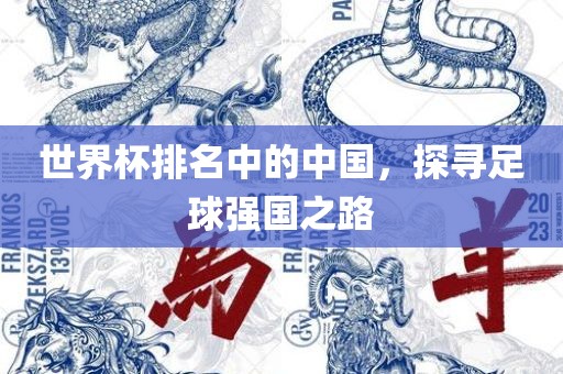 世界杯排名中的中国，探寻足球强国之路