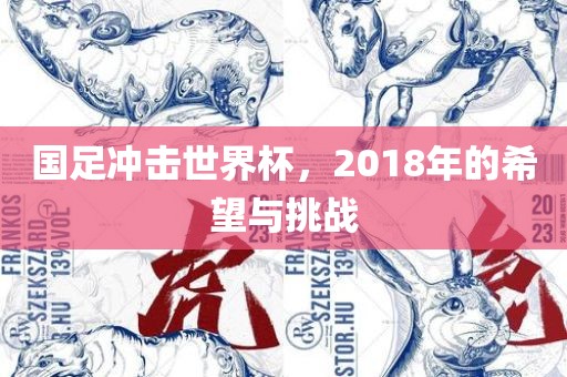 国足冲击世界杯，2018年的希望与挑战