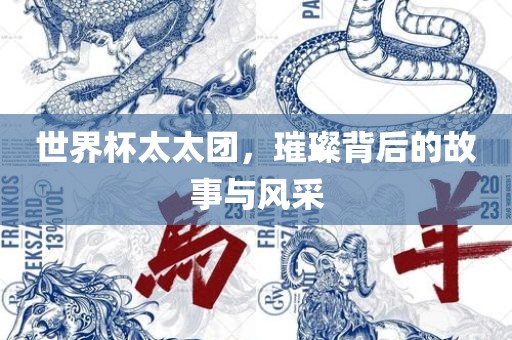 世界杯太太团，璀璨背后的故事与风采