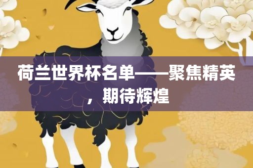 荷兰世界杯名单——聚焦精英，期待辉煌