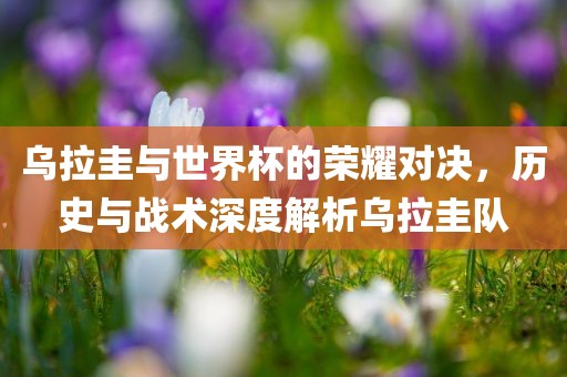 乌拉圭与世界杯的荣耀对决，历史与战术深度解析乌拉圭队