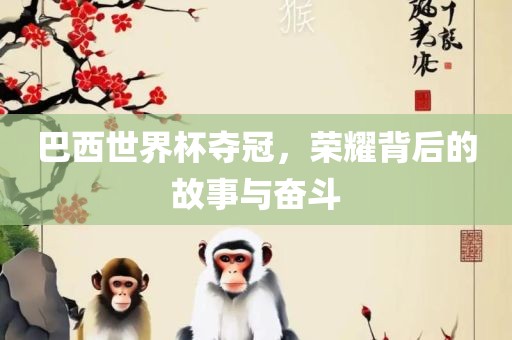 巴西世界杯夺冠，荣耀背后的故事与奋斗