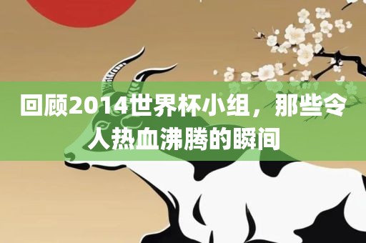 回顾2014世界杯小组，那些令人热血沸腾的瞬间
