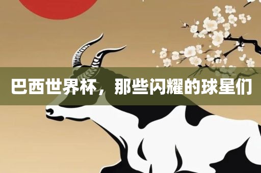巴西世界杯，那些闪耀的球星们