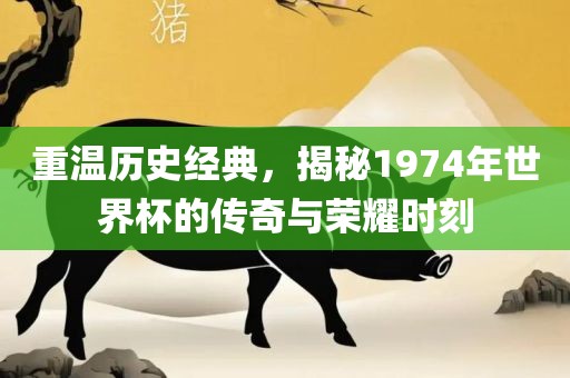 重温历史经典，揭秘1974年世界杯的传奇与荣耀时刻