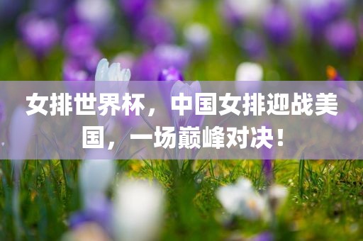 女排世界杯，中国女排迎战美国，一场巅峰对决！