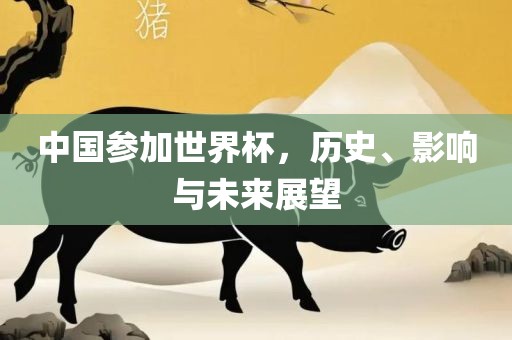 中国参加世界杯，历史、影响与未来展望