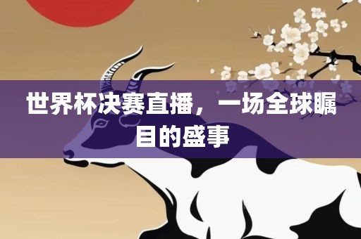 世界杯决赛直播，一场全球瞩目的盛事