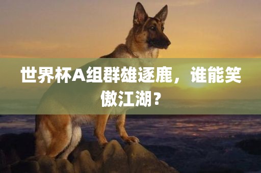 世界杯A组群雄逐鹿，谁能笑傲江湖？