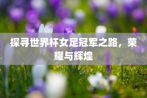 探寻世界杯女足冠军之路，荣耀与辉煌