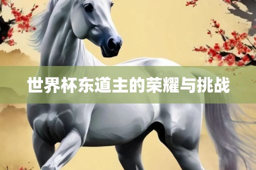 世界杯东道主的荣耀与挑战