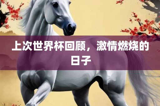 上次世界杯回顾，激情燃烧的日子
